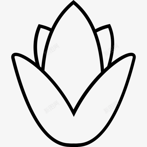 食品园艺植物svg_新图网 https://ixintu.com 食品 园艺 植物 调味品
