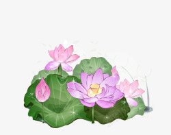 唯美古风水彩手绘荷花荷叶古典水墨莲花免扣透明PS设素材