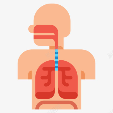 呼吸系统解剖学13扁平图标