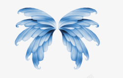 儿童话小精灵仙女透明蜻蜓蝴蝶翅膀图影楼后期设计PS素材