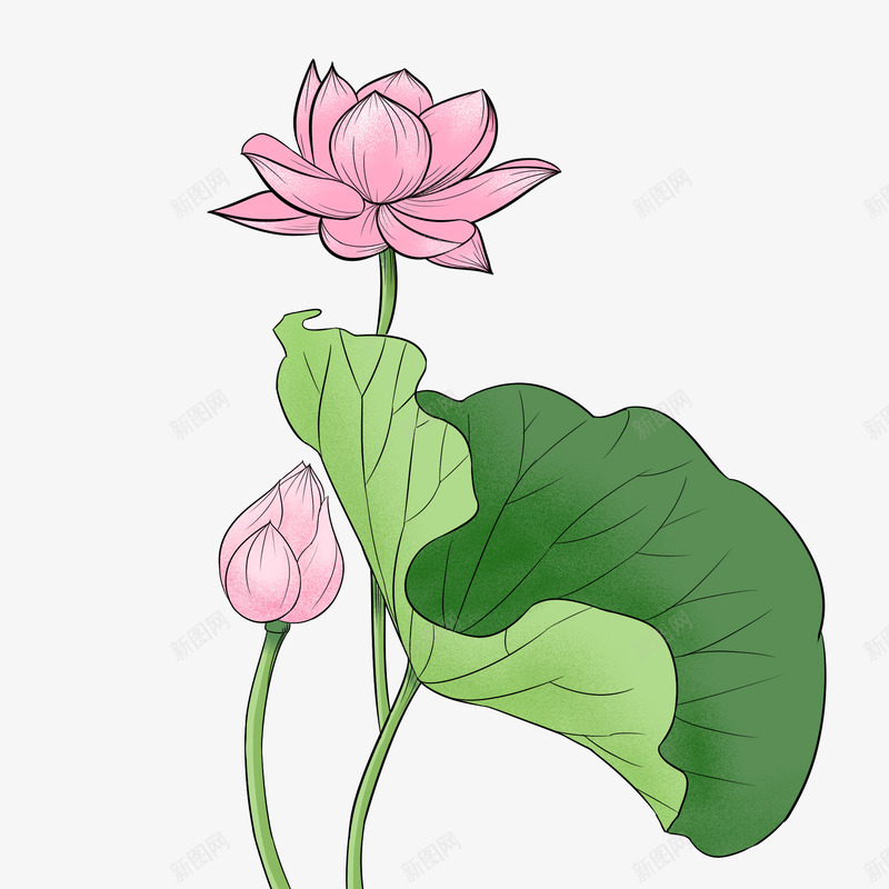 唯美古风水彩手绘荷花荷叶古典水墨莲花免扣透明PS设png免抠素材_新图网 https://ixintu.com 唯美 古风 水彩 手绘 荷花 荷叶 古典 水墨 莲花 免扣 透明