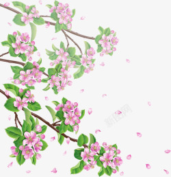 水彩樱花唯美手绘浪漫粉色花朵婚礼影楼婚纱透明PS素材