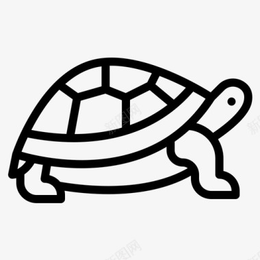 乌龟动物44轮廓图标