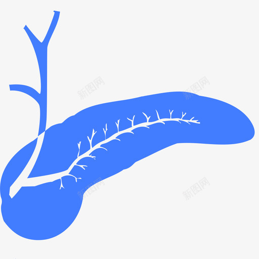 胰腺svg_新图网 https://ixintu.com 胰腺 填充 单色 扁平 手绘 精美 简约 圆润 商务