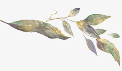 欧式华丽手绘水彩封面花树叶植物包装装饰信封印刷矢量素材