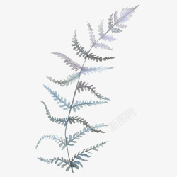 植物婚礼卡片冷色水彩花卉月光花环请柬包装装饰设计素材