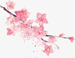 古风水彩古风唯美水彩手绘粉色桃花树花朵花瓣花枝免扣透明设计高清图片