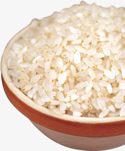 胚芽米大米素材