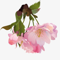 古风水彩古风唯美水彩手绘粉色桃花树花朵花瓣花枝免扣透明设计高清图片
