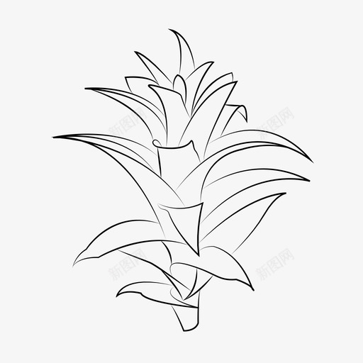 采购产品凤梨植物叶svg_新图网 https://ixintu.com 凤梨 植物 植物学 采购 产品 叶花 哥斯达黎加