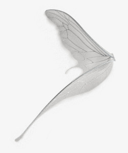 儿童话小精灵仙女透明蜻蜓蝴蝶翅膀图影楼后期设计PS素材