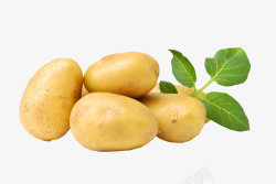 土豆2素材