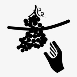 酒庄图标采摘葡萄酒收获酿酒高清图片