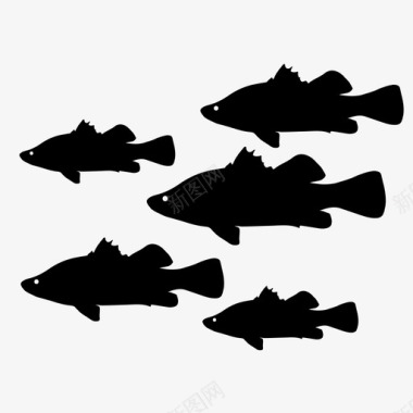 鱼鳟鱼种类图标