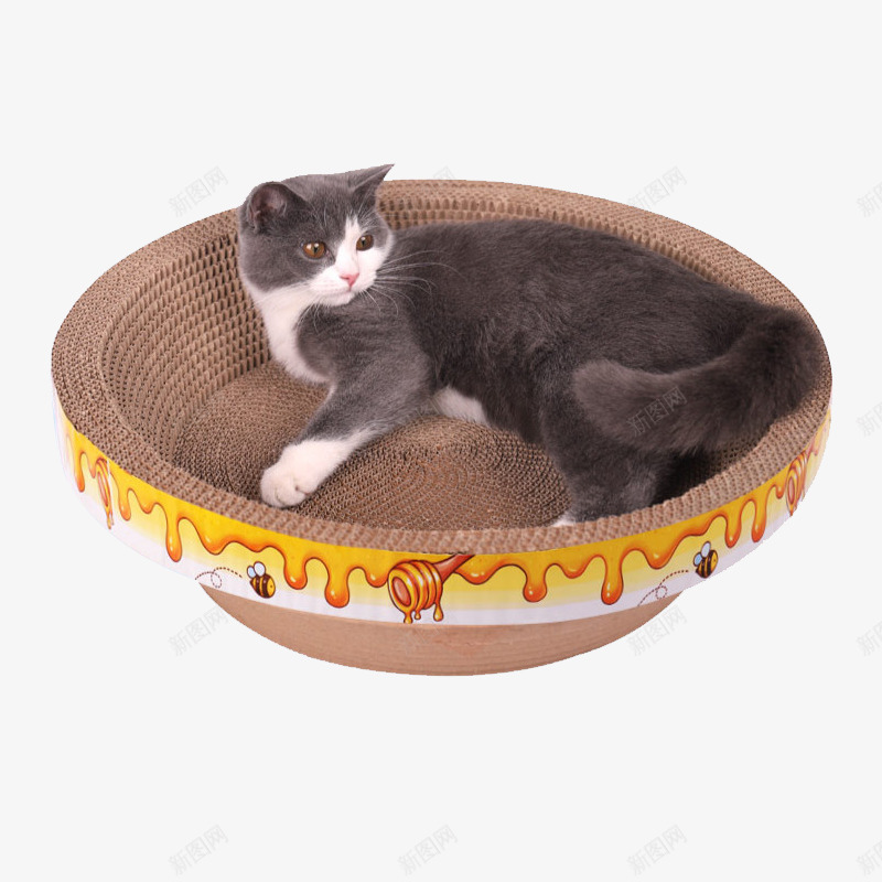 猫抓板碗型猫咪宠物png免抠素材_新图网 https://ixintu.com 猫抓 板碗型 猫咪 宠物