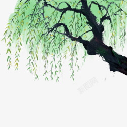 中国古风水墨柳树柳枝透明后期美化装饰设计91素材