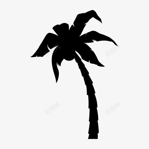 棕榈树乔木植物和树木svg_新图网 https://ixintu.com 棕榈树 乔木 植物 树木