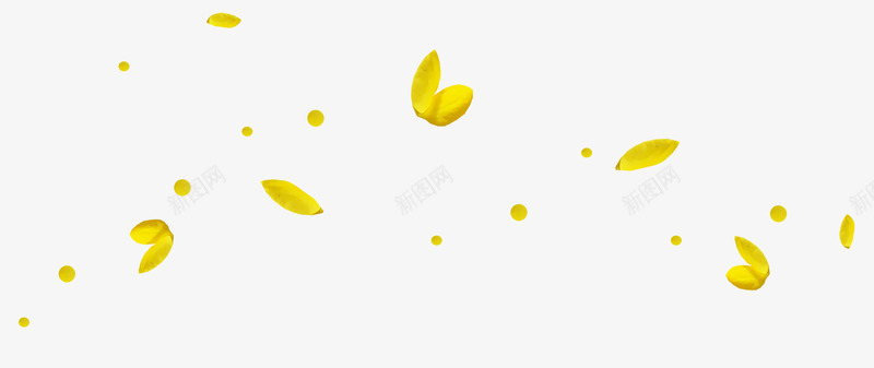 满天飘落的黄色花瓣png免抠素材_新图网 https://ixintu.com 满天 飘落 黄色 花瓣