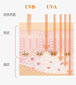 敏感肌肤适用敏感肌肤防晒护理雅漾小金刚雅漾防晒系列高清图片