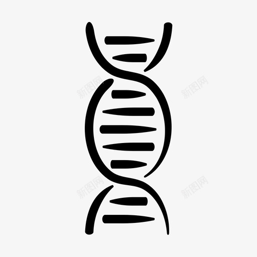 dna链双链svg_新图网 https://ixintu.com 链双 螺旋 手绘