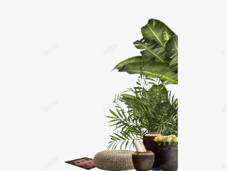 软装家居家居装饰植物png免抠素材_新图网 https://ixintu.com 软装家居家居装饰植物