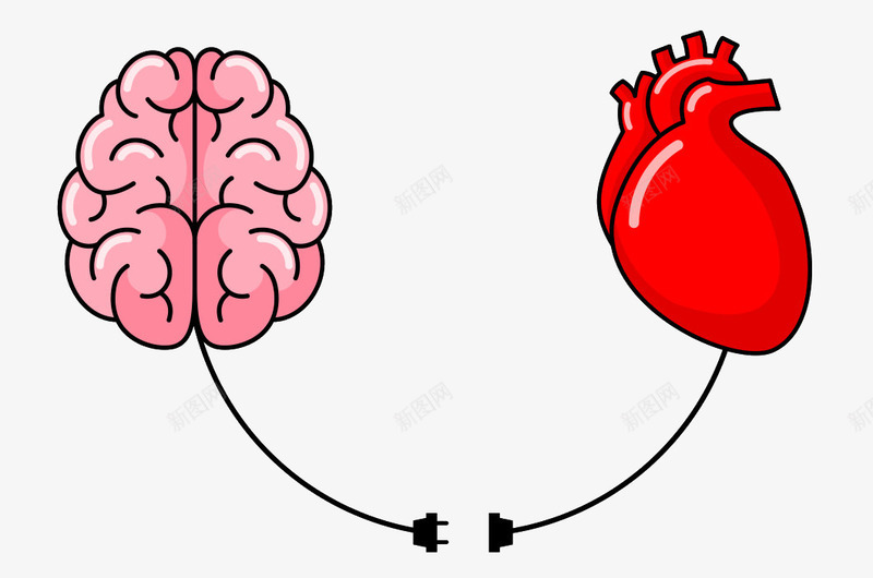 心血管图png免抠素材_新图网 https://ixintu.com 心血管