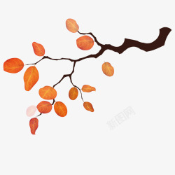 树枝秋天意境插画素材
