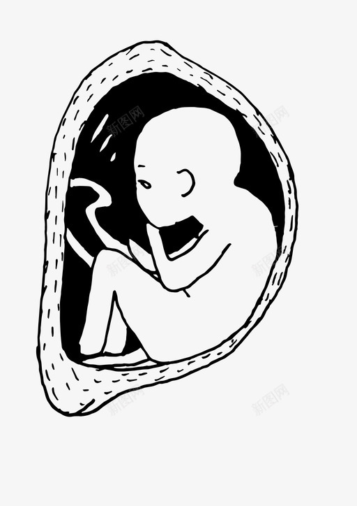 怀孕婴儿肚子svg_新图网 https://ixintu.com 怀孕 婴儿 肚子 胎儿 月子 子宫