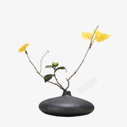 软装家居家居装饰植物素材