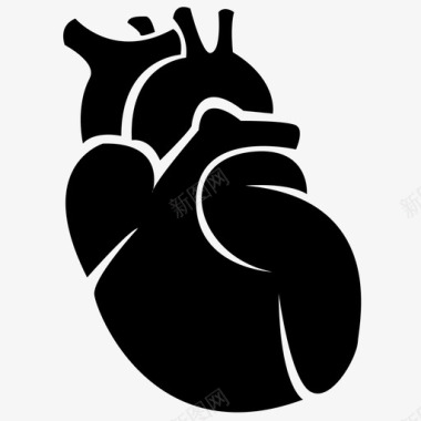 心脏器官内脏图标