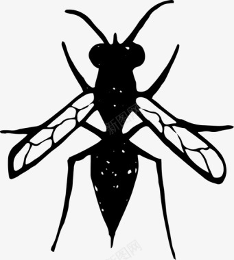 黄蜂害虫毒刺图标