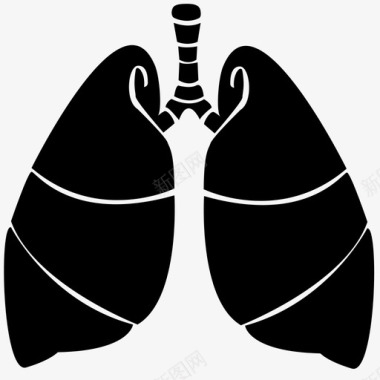 肺器官内脏图标
