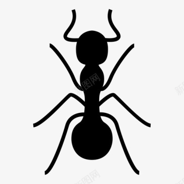 蚂蚁虫子虫子生活图标