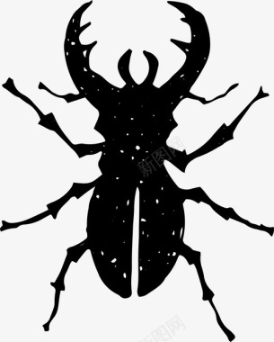 鹿甲虫粪甲虫金龟子图标