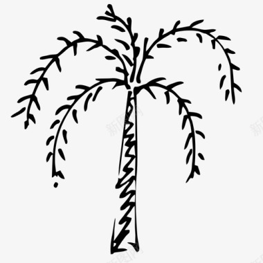 棕榈树素描夏天图标