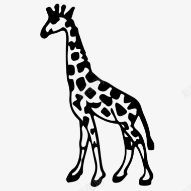 长颈鹿动物手绘图标