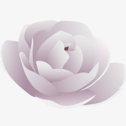 白色花骨朵矢量玫瑰素材