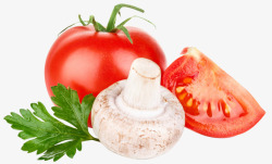 口蘑番茄素材