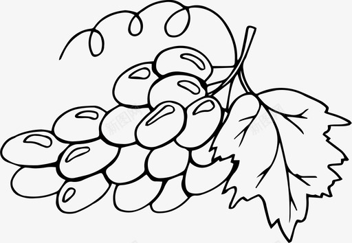 葡萄秋天浆果图标