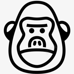 大猩猩的脸大猩猩大猩猩脸金刚高清图片