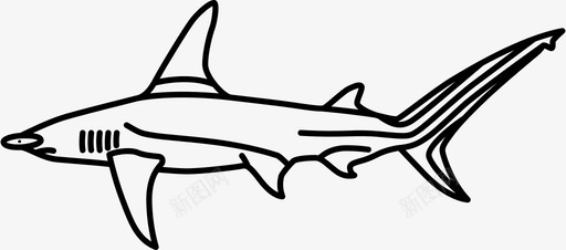 大锤头鲨捕猎捕食者svg_新图网 https://ixintu.com 锤头 鲨大 鲨捕 猎捕 食者 鲨鱼