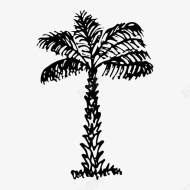 棕榈树手绘自然图标