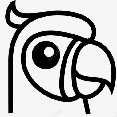 金刚鹦鹉鹦鹉鹦鹉脸图标