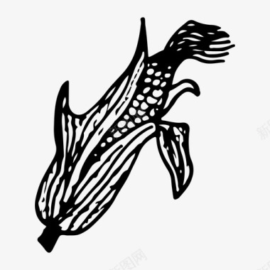 玉米食品手绘图标