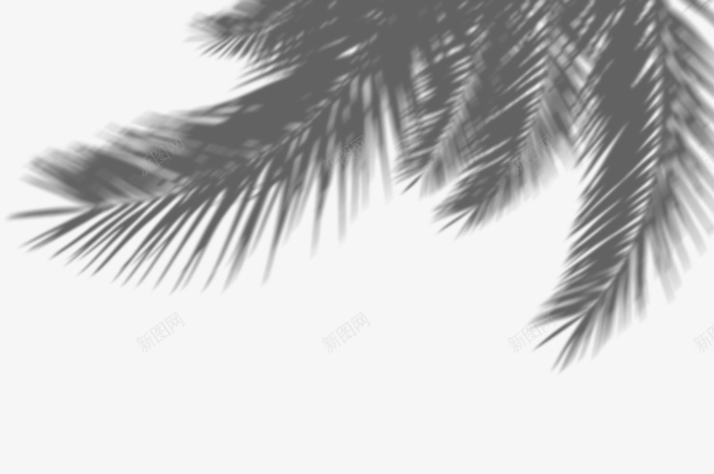 植物投影png免抠素材_新图网 https://ixintu.com 植物 投影