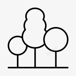 树木学树木学术教育高清图片