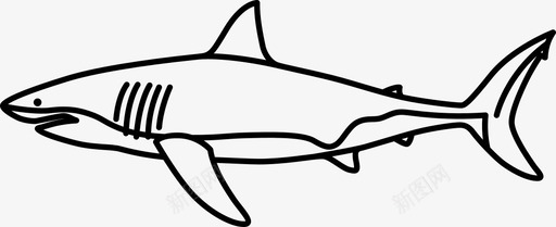大白鲨捕食者鲨鱼图标