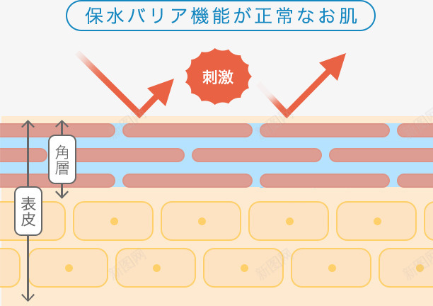 保水机能正常肌png免抠素材_新图网 https://ixintu.com 保水 机能 正常