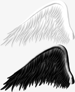 黑白翅膀素材