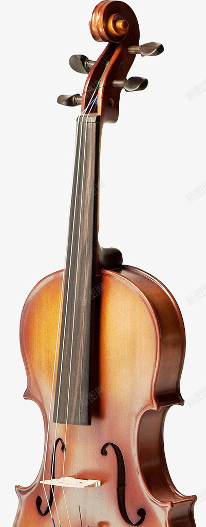 音乐乐器大提琴png免抠素材_新图网 https://ixintu.com 音乐 乐器 大提琴 音符